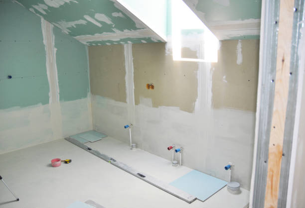 Best Attic Mold Removal  in Oak Lawn, IL