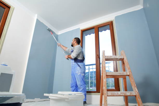 Best Dehumidification Services  in Oak Lawn, IL
