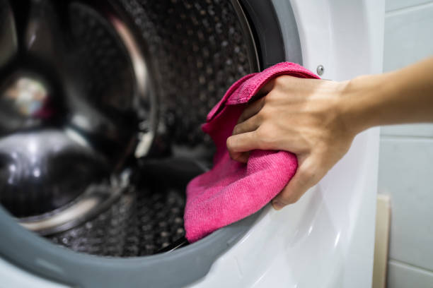 Best Mold Damage Restoration  in Oak Lawn, IL