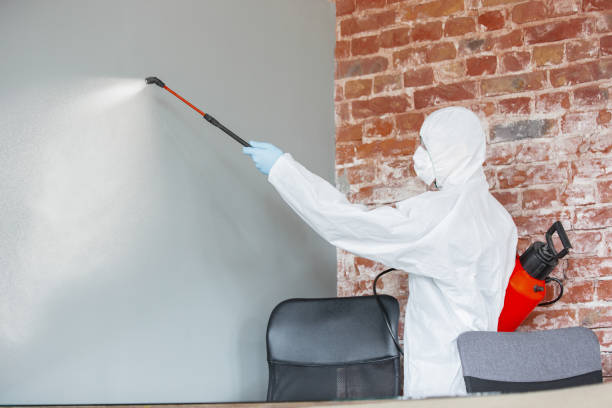 Mold Removal for HVAC Installations in Oak Lawn, IL