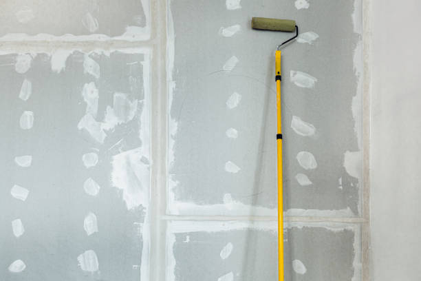 Best Biohazard Mold Removal  in Oak Lawn, IL