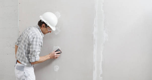 Best Airborne Mold Testing  in Oak Lawn, IL