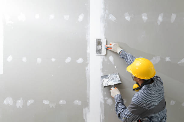 Best Airborne Mold Testing  in Oak Lawn, IL