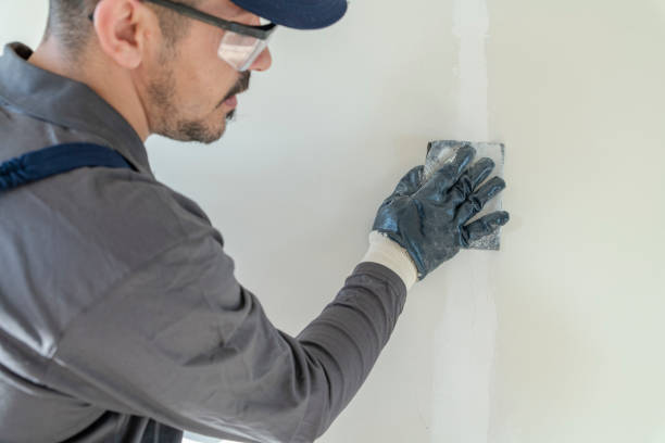 Best Crawl Space Mold Remediation  in Oak Lawn, IL