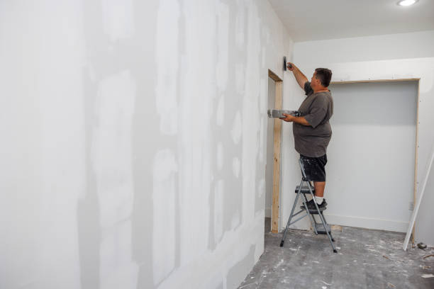Trusted Oak Lawn, IL Mold Removal Experts