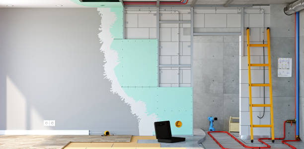 Best Commercial Mold Inspection  in Oak Lawn, IL