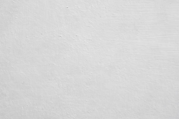 Environmental Consulting for Mold Prevention in Oak Lawn, IL