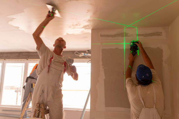 Best Mold Odor Removal Services  in Oak Lawn, IL