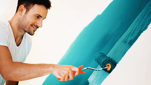 Mold Odor Removal Services in Oak Lawn, IL