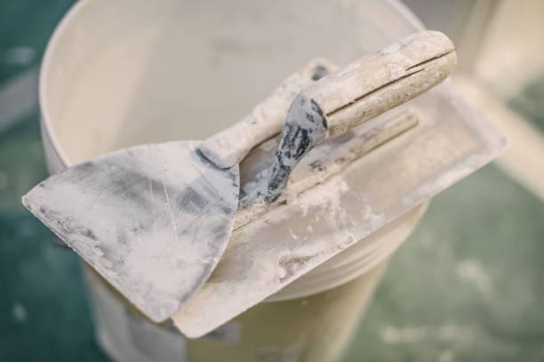 Best Industrial Mold Remediation  in Oak Lawn, IL